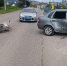 Сводка ДТП с 11 по 17 августа - OktLife.Ru